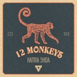 Artwork for "12 Monkeys"