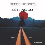 Artwork for "Letting go"