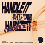 Portada para "Handle It"