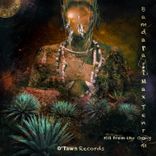 Artwork for "Hit From the Gong"