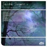 Artwork voor "Jezzabel / Sirius (Remixes)"