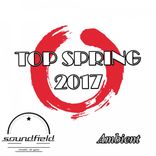 Artwork voor "Ambient Top Spring 2017"