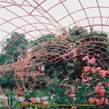 Artwork für "Love Track"