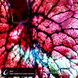 Artwork für "Clear Conceptions 30"