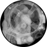 Artwork für "Antikythera Mechanism"