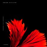 Artwork voor "Molecular"