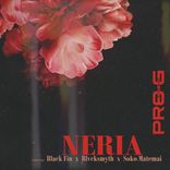 Artwork für "NERIA"
