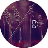 Artwork voor "Night Without Stars EP"