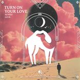 Artwork für "Turn on Your Love"