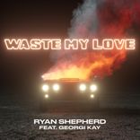 Artwork for "Waste My Love"