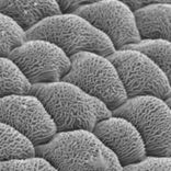 Artwork for "thing009"