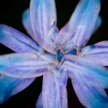 Artwork for "A Freak A"