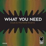 Artwork for "What You Need"