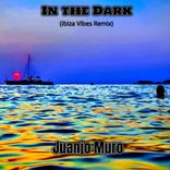 Artwork für "In the Dark"