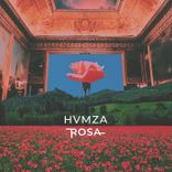 Artwork for "Rosa"