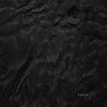 Artwork for "Concept"