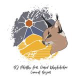 Artwork für "Caracal Desert"