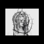 Portada para "Walk with a Tumored Dog"