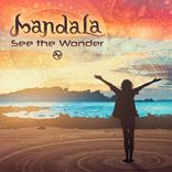 Artwork for "See The Wonder"