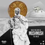 Portada para "MushMush"