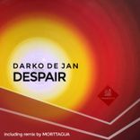 Portada para "Despair"