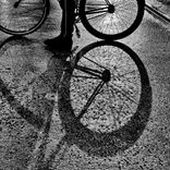 Artwork for "Melodramatic Harm"