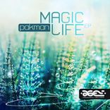 Artwork for "Magic Life"