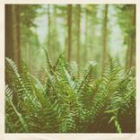 Artwork for "Just Visiting"