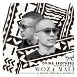 Artwork for "Woza Mali(Incl Eltonnick, Thakzin and Afrikan Roots Remixes)"