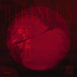 Artwork for "Hibiscus"