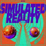 Artwork for "Simulated Reality"