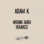 Artwork für "Wrong Guru Remixes"