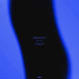 Artwork für "Perfect"