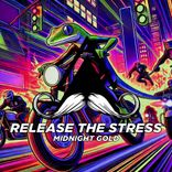 Artwork voor "Release the Stress"