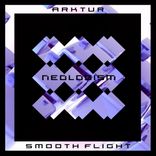 Artwork voor "Smooth Flight"