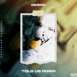 Artwork for "Told Us Down"
