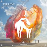 Artwork for "Pit Love"