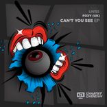 Artwork voor "Can't You See"