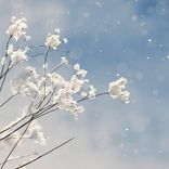 Artwork for "Silence Speaks When The Words End"