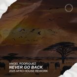 Artwork for "Never Go Back"