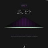 Artwork for "Best of Walter K"