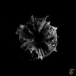 Artwork for "My Favorite Things"