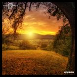 Artwork for "Hol(y)ster"