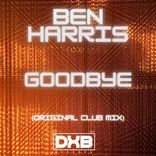 Artwork voor "Goodbye"