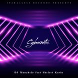 Artwork for "Cybernetic"