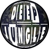 Portada para "Inception / Gravity"