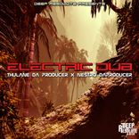 Artwork for "Electric Dub"