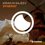 Portada para "Synergy"