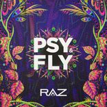 Artwork voor "Psy & Fly"