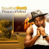 Portada para "Peace of Mind"